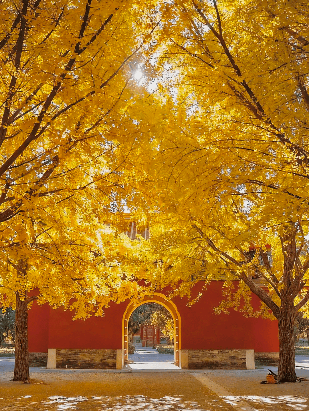 ：不做流水行程把你的需求变成专属体验澳门新葡京网站北京高端私