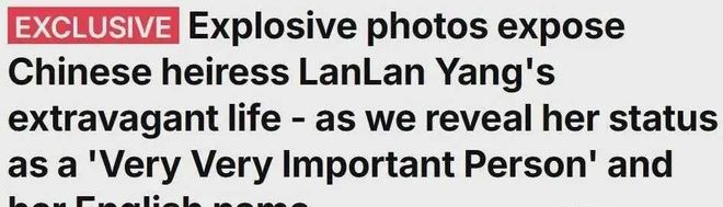 anel顶级VIP年消费100万澳币英语很差新葡京娱乐场app杨兰兰律师透露其身份Ch(图4)